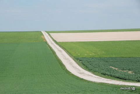 Chemin de Champagne.....et de campagne