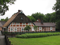 Unter den Eichen I