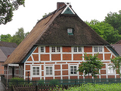 Unter den Eichen II