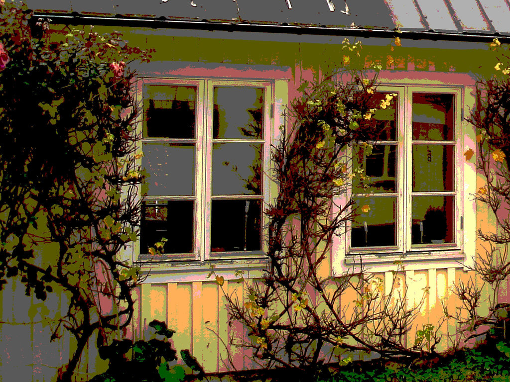 Maison / House  No-47  .  Båstad .  Suède / Sweden.  21-10-2008 -  Postérisée