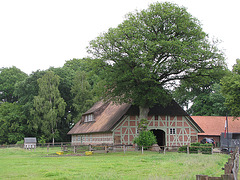 Fachwerkdorf Marxen V