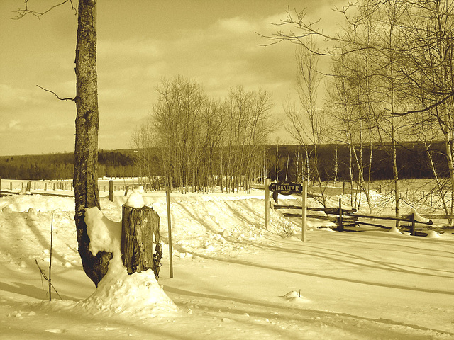 Paysages d'hiver à proximité de l'abbaye de St-Benoit-du-lac au Québec .  7 Février 2009 -  Sepia