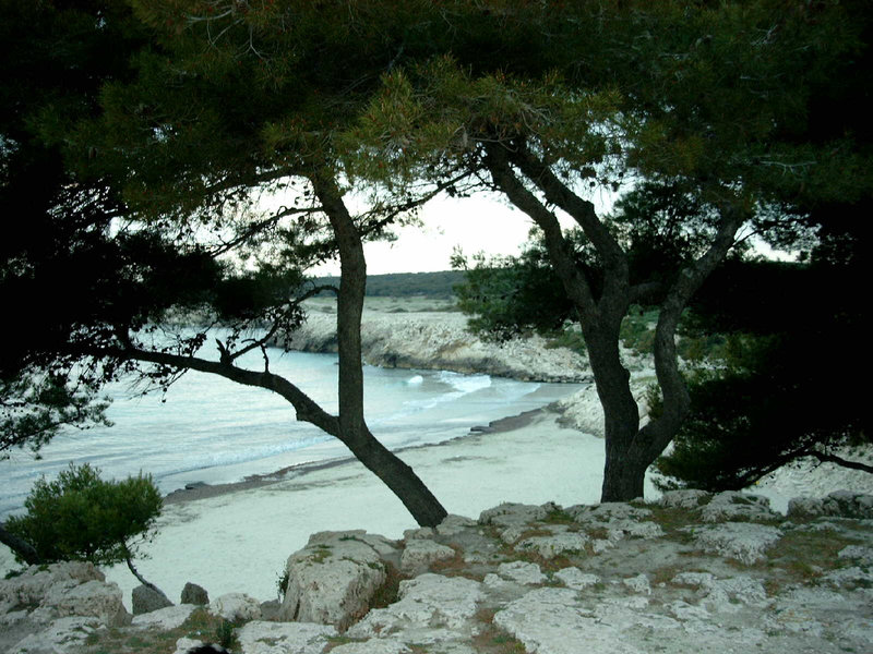 plage proche de la Couronne sur la côte bleue