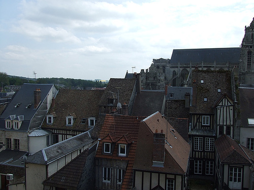 Photo 008
