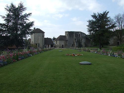 Photo 009