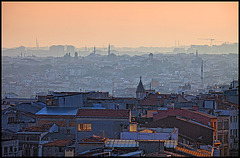 sea of houses