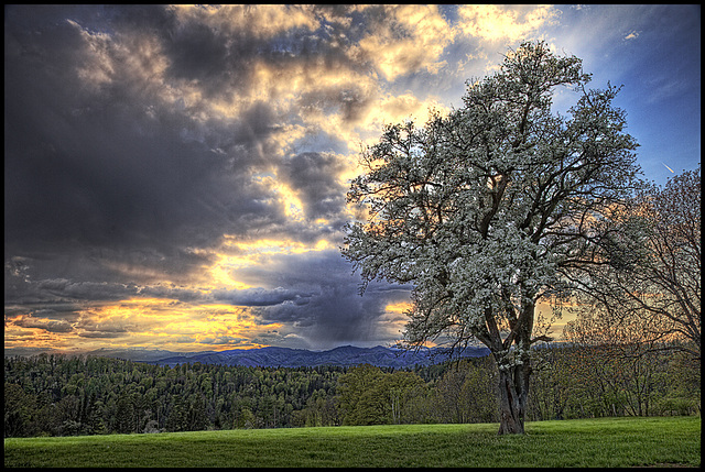 evening sky - Graz-Rannach