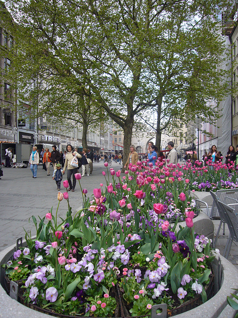 Frühling in der Fußgängerzone