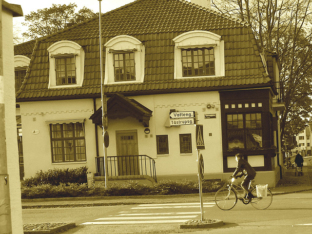 Vatteng biker area -  Zone Vatteng pour jolie cycliste / Ängelholm en Suède / Sweden.  23 octobre 2008- Sepia