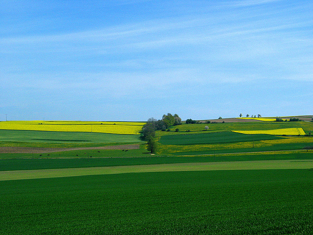 oberschwäbische Landschaft