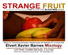 StrangeFruit.Pride.WDC.June2009.EXBMixology