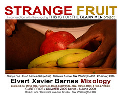 StrangeFruit.Pride.WDC.June2009.EXBMixology