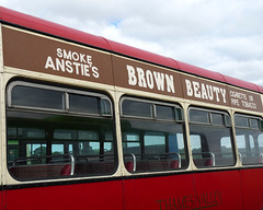 'Smoke Anstie's Brown Beauty'!