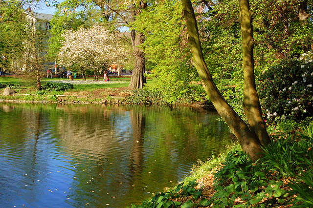 Lageto - Pauritzer Teich - Altenburg