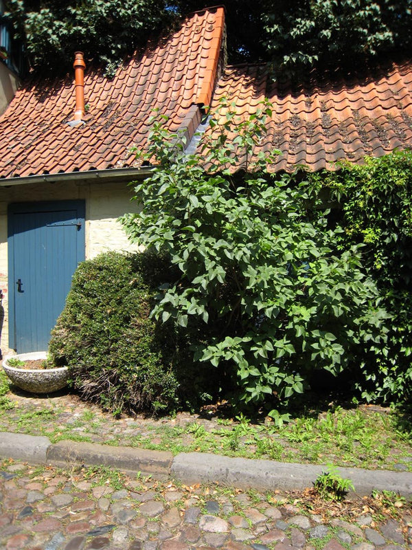 IMG 2504 Lüneburg, Hinter der Bardowicker Mauer