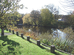 Charmante petite clôture sur la rivière /  Little fence by the river - Ängelholm / Suède - Sweden.  23 octobre 2008