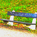 Le banc à graffitis - The graffitis bench  /  Ängelholm - Suède / Sweden - 23 octobre 2008- Postérisé avec couleurs ravivées