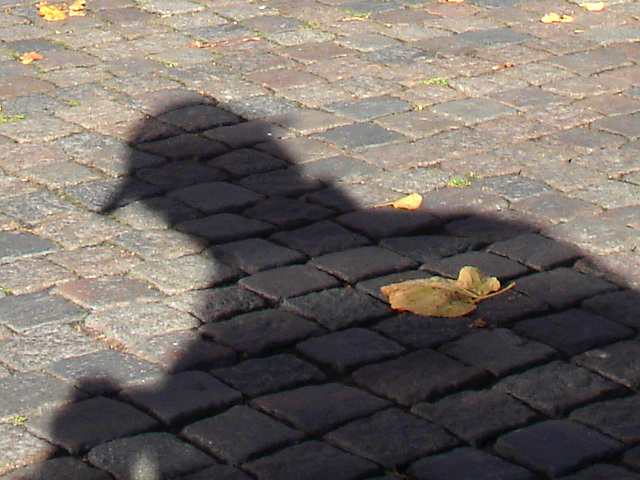 Feuille d'automne et l'ombre du photographe voyeur /  Autumn leaves and the shadowman photograph voyeur - 23 octobre 2008