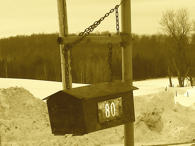 Twin maples farm - St-Benoit-du-lac-  Québec- Canada - 7 février 2009-   Sepia