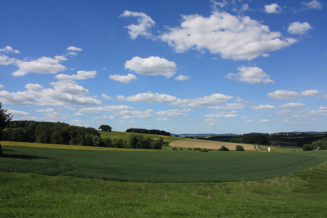 zwischen Herford und Bad Oeynhausen