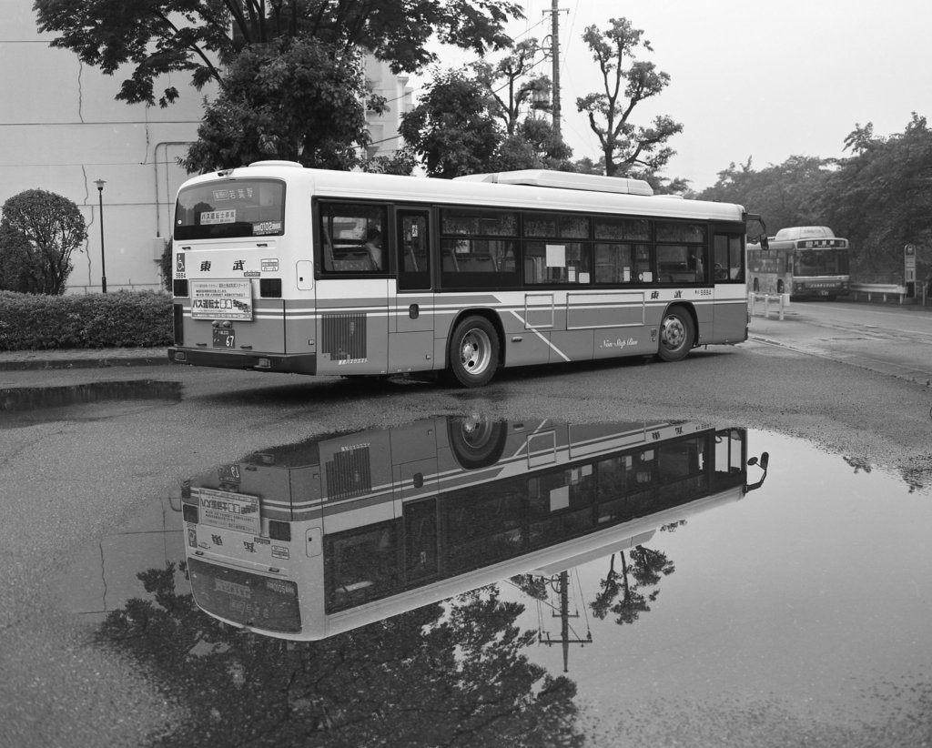 Route buses