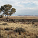 Radium Hill landscape