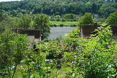 Sommer im Garten - somero en mia ĝardeno - L'ete dans mon jardin - summer in my garden