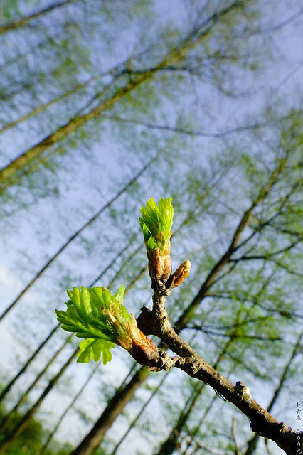 Frühling