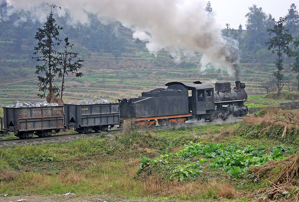 Steam and cabbages