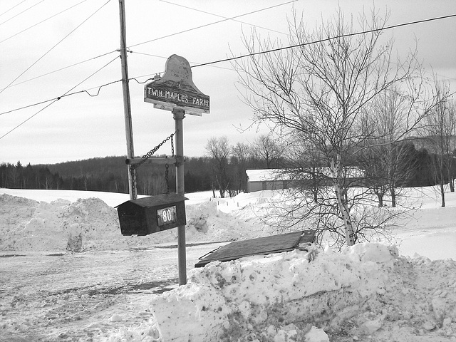 Twin maples farm - B & W