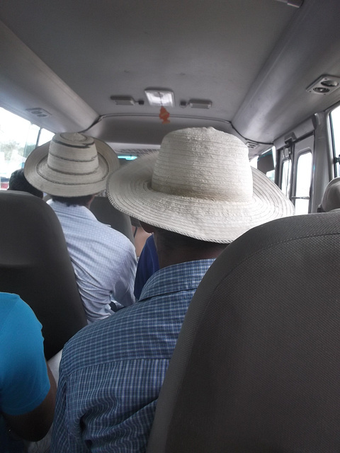 Chapeau panaméens / Panamanian hats.