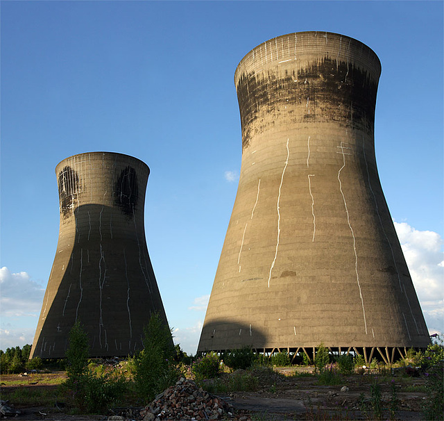 Thorpe Marsh