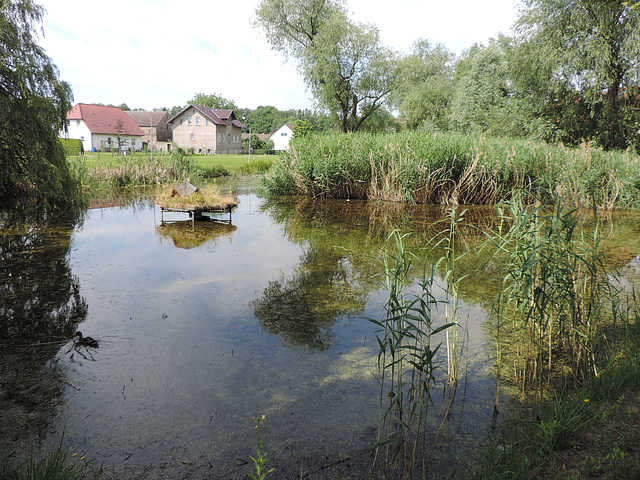 Dorfteich in Bestensee