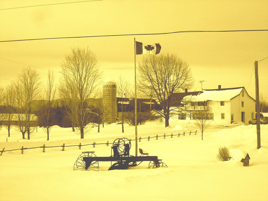 Twin maples farm - St-Benoit-du-lac-  Québec- Canada - 7 février 2009- Sepia