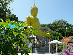 Yellow Buddha