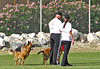 Police K9 Play (0104)