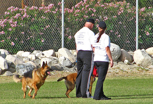 Police K9 Play (0104)
