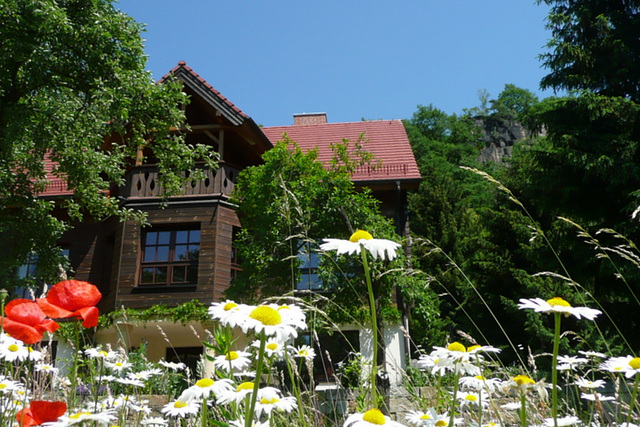 Blumen beim Nachbarn - floroj ĉe la najbaro