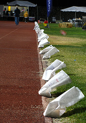 Relay For Life Luminaria (0088)