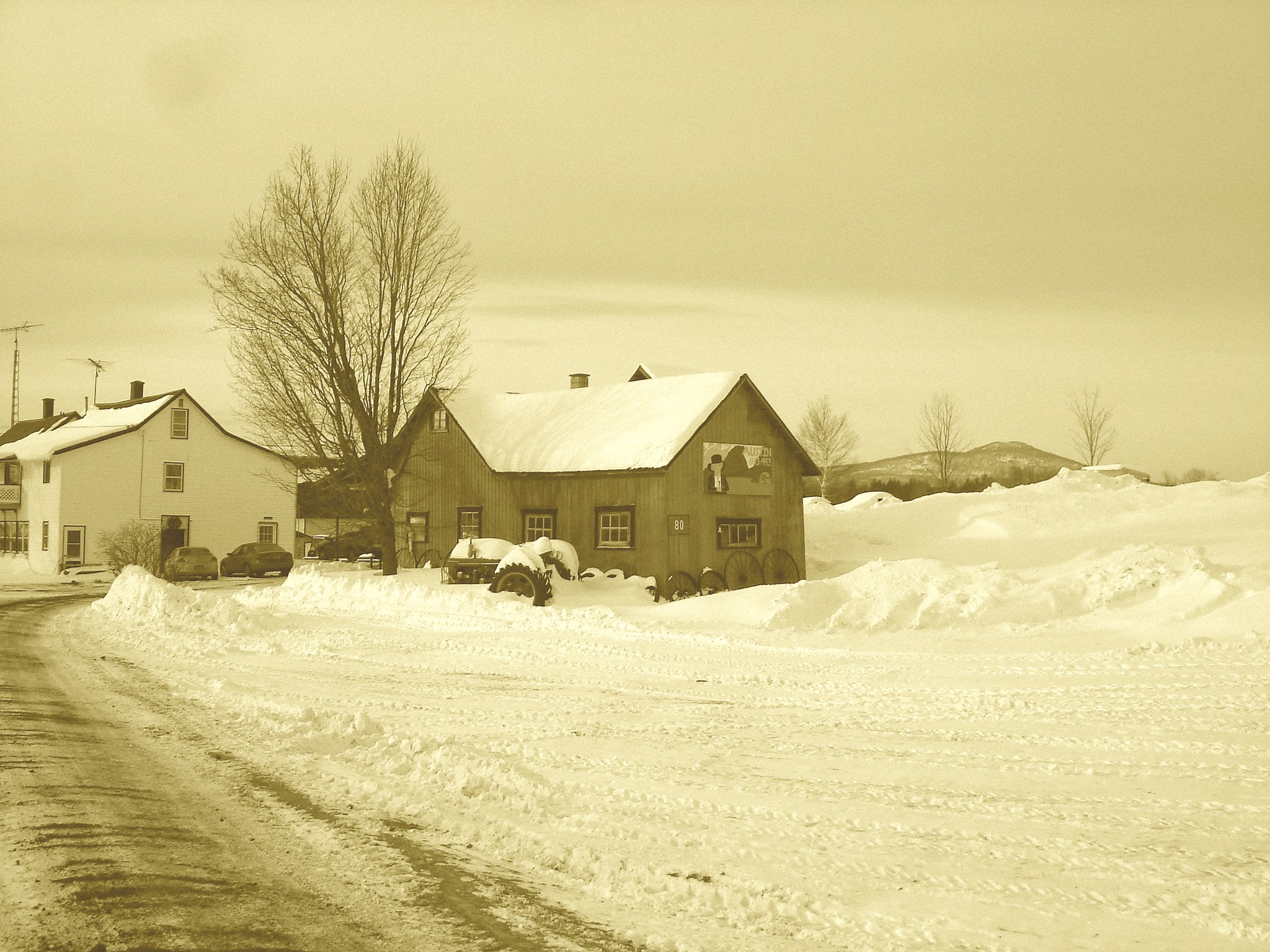 Twin maples farm - St-Benoit-du-lac-  Québec- Canada - 7 février 2009-  Sepia