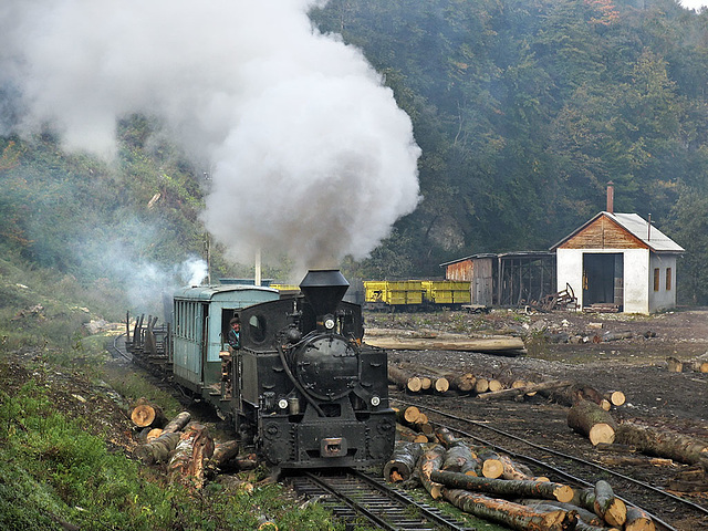 Forestry railway