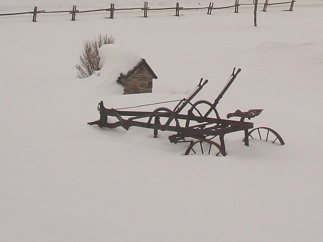 Twin maples farm