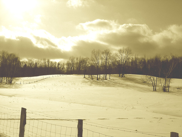 Paysages d'hiver à proximité de l'abbaye de St-Benoit-du-lac au Québec .  7 Février 2009-  Sepia