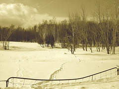 Paysages d'hiver à proximité de l'abbaye de St-Benoit-du-lac au Québec .  7 Février 2009- Sepia