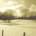 Paysages d'hiver à proximité de l'abbaye de St-Benoit-du-lac au Québec .  7 Février 2009-  Sepia