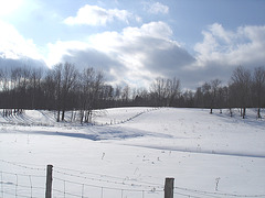 Paysages d'hiver à proximité de l'abbaye de St-Benoit-du-lac au Québec .  7 Février 2009