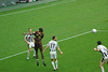 Gladbach 29