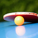 ping pong paradise