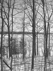 Paysages d'hiver à proximité de l'abbaye de St-Benoit-du-lac au Québec .  7 Février 2009 -  B & W