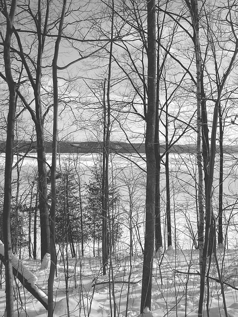 Paysages d'hiver à proximité de l'abbaye de St-Benoit-du-lac au Québec .  7 Février 2009 -  B & W